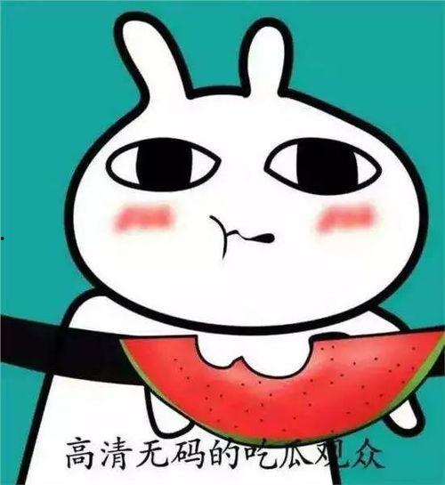 吃瓜的表情图,揭秘网络热议背后的真实心态 第1张 吃瓜的表情图,揭秘网络热议背后的真实心态 第1张